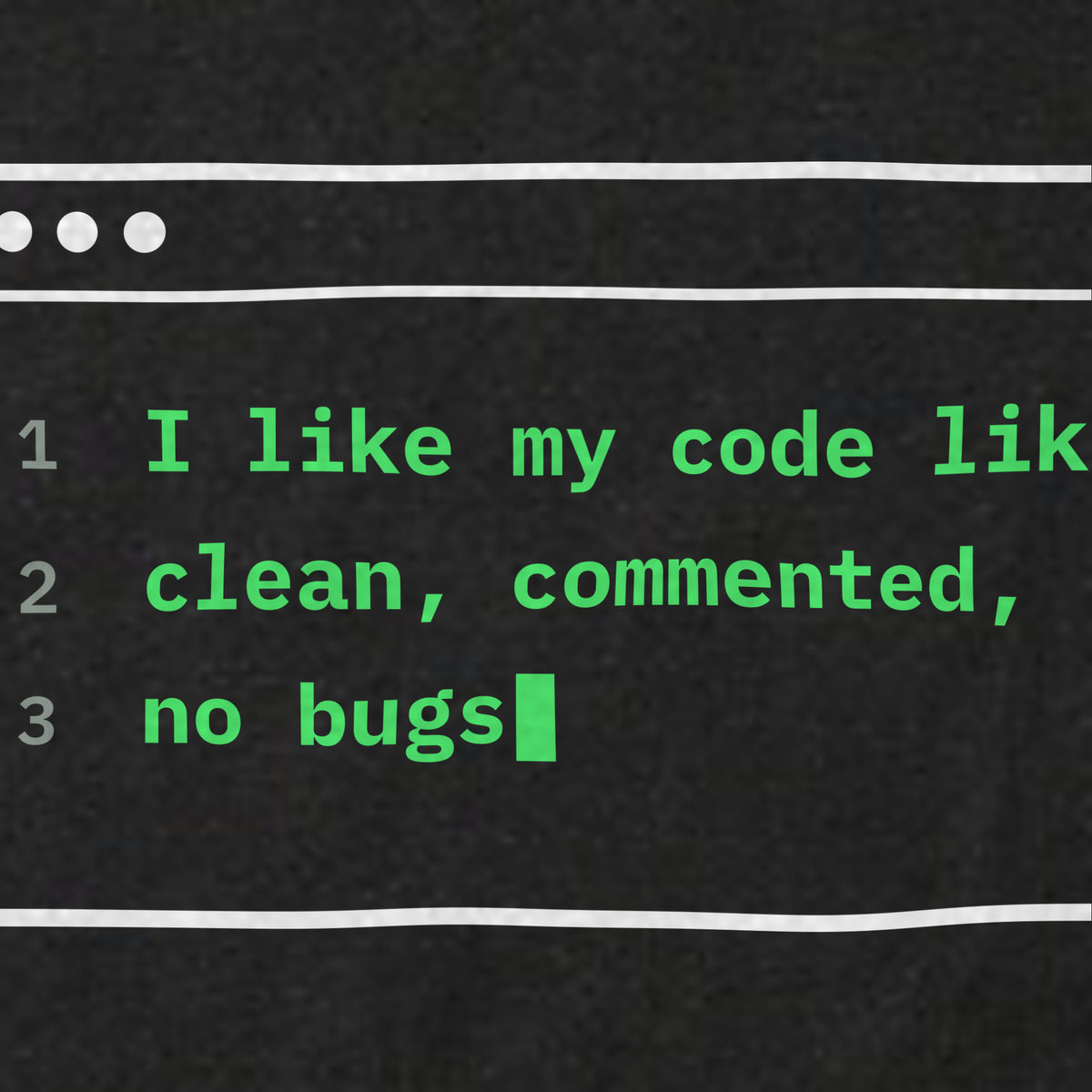 Print detail of the terminal design: 'I like my code like my dates: clean, commented, no bugs'